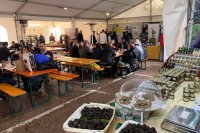 Campoli Appennino: Fiera del Tartufo di Campoli 2019 #2 