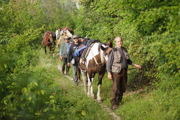 A cavallo, tra i boschi e i tanti percorsi naturalistici