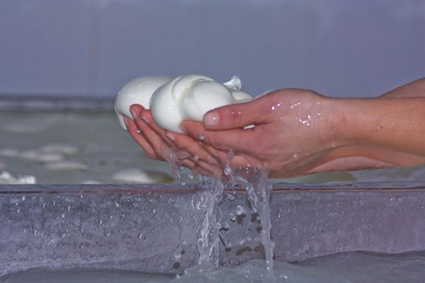 A Tavola con la Mozzarella di Bufala di Amaseno