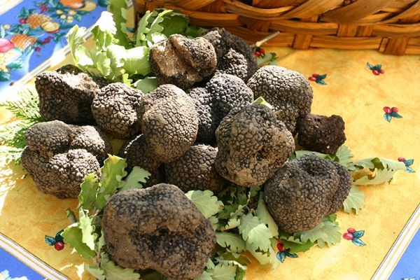 Tartufo di Campoli Appennino