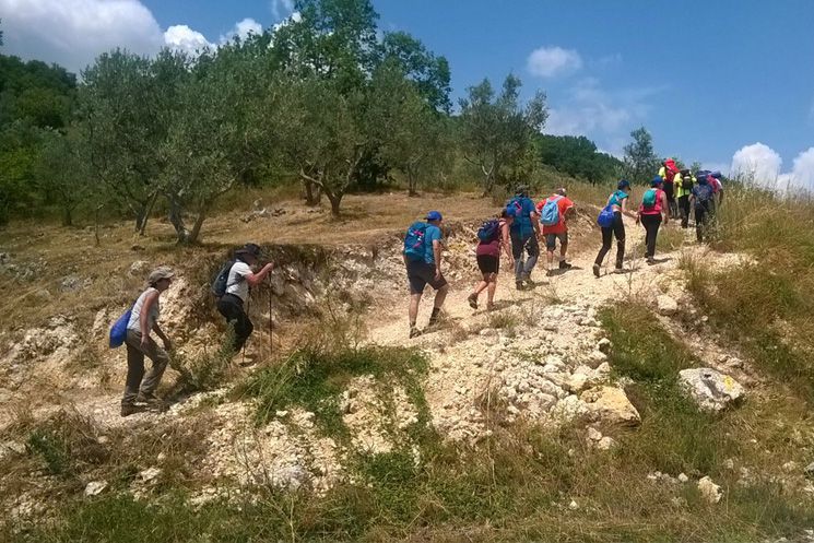 La Terra dei Cammini: 26 Luglio - 3 Agosto 2016