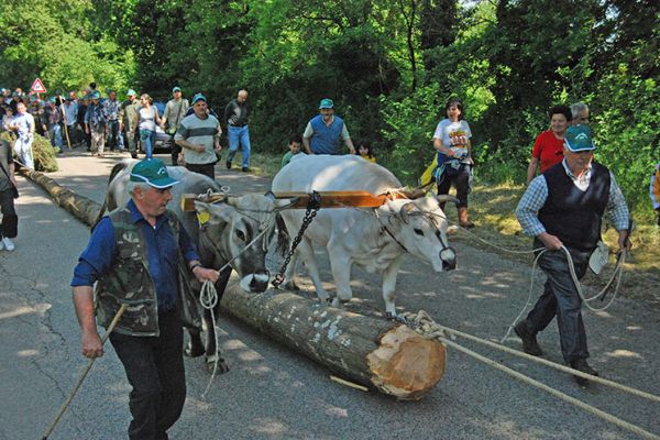 Festa della SS. Croce - Pastena [30 APRILE - 3 MAGGIO]