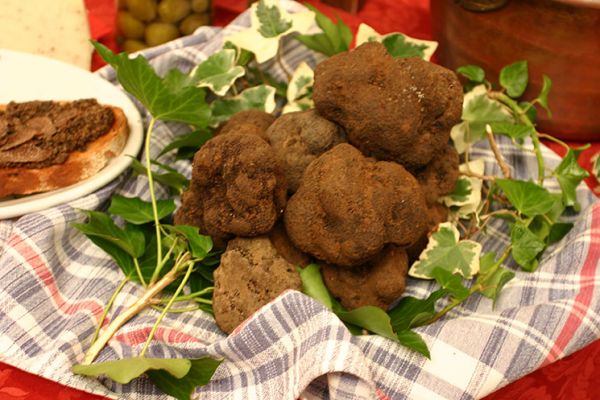 Fiera del Tartufo di Campoli Appennino [2ª e 3ª DOMENICA DI NOVEMBRE]