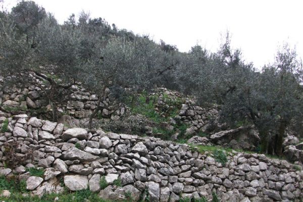 I terrazzamenti a secco di Vallecorsa