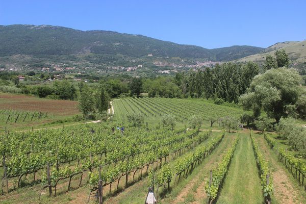 La Strada del Vino Cesanese del Piglio docg