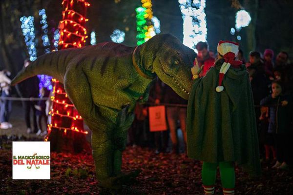 Il Magico Bosco del Natale: Cassino dal 16 Novembre al 26 Dicembre 2019