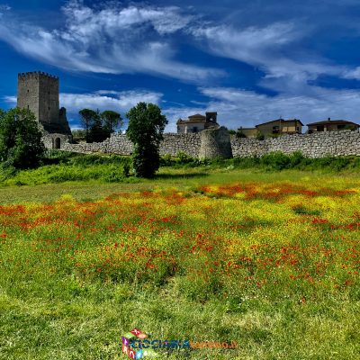 acropoli_civitavecchia2021_2