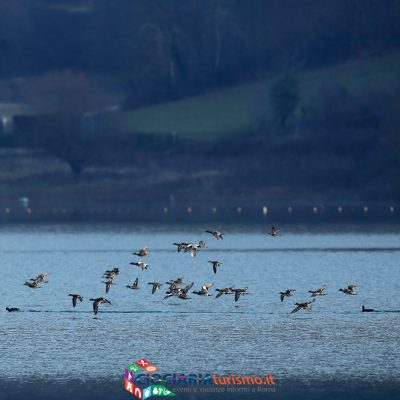 lago_canterno2021_06