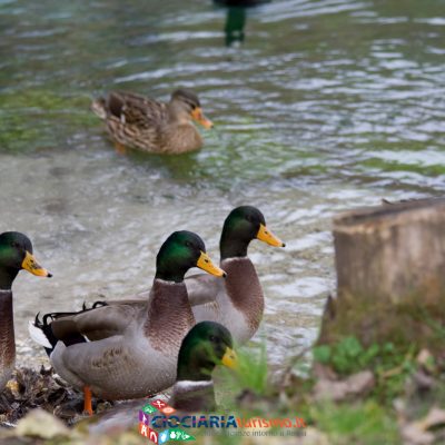 Lago di Posta Fibreno