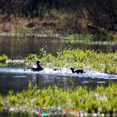 Lago di Posta Fibreno