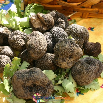 Tartufo di Campoli Appenino